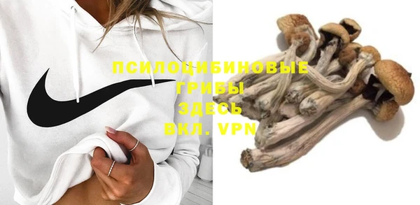 а пвп мука Алзамай